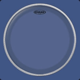 Evans BD22GB4