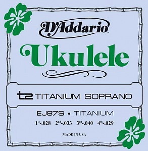 D'Addario EJ87S