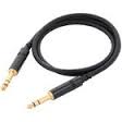 Cordial CFM 6 VV