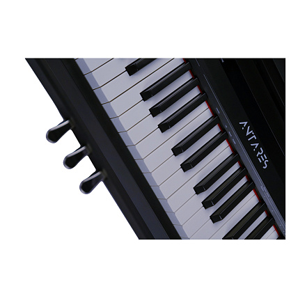 Antares D-300