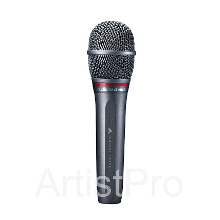 Audio-Technica AE6100