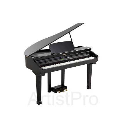 Orla 438PIA0634 Grand 120 Black
