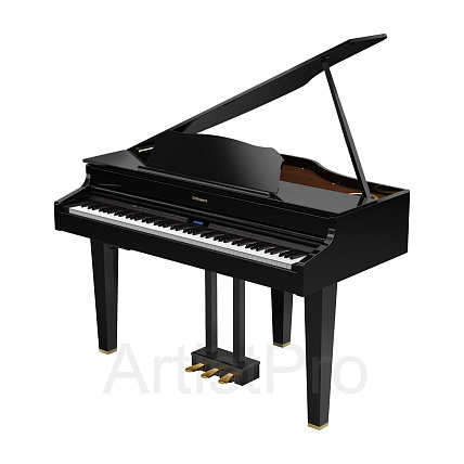 Roland GP607-PE