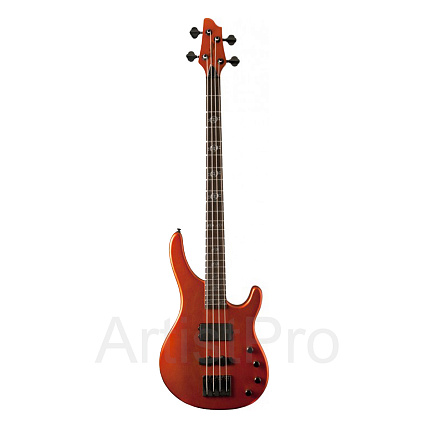 WASHBURN SHB40TNG 