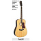 Proel HPC210 фото 23