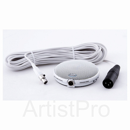 Samson CM11BW