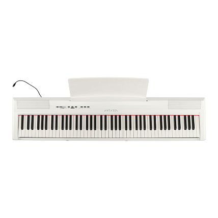 Antares D-300 W