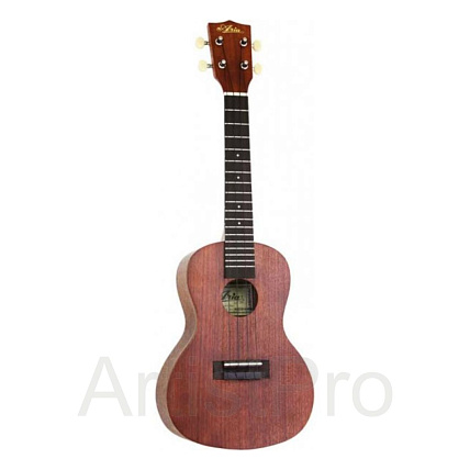 Aria ACU-1