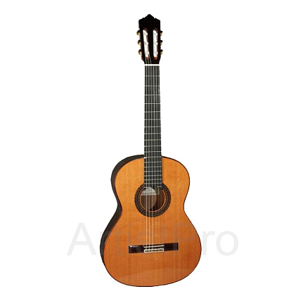 PEREZ 640 CEDAR