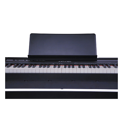Antares D-300