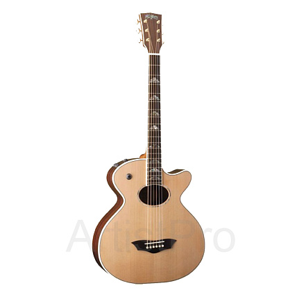Washburn WB200SCEK