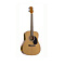 Proel HPC210 фото 41