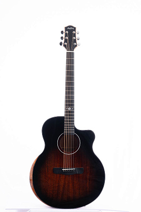 Aion F30 TE