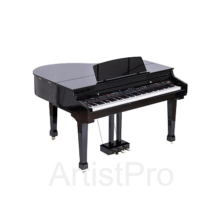Orla 438PIA0631 Grand 500 Black 