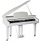 Medeli Grand 500W фото 2