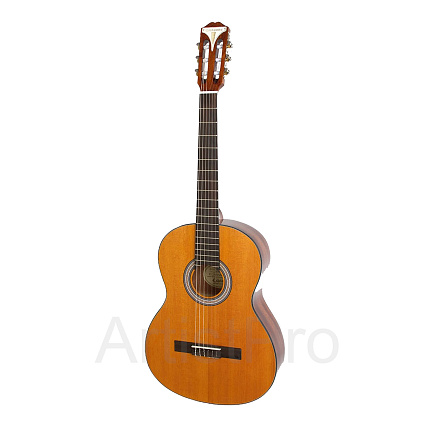 Epiphone PRO-1 Classic