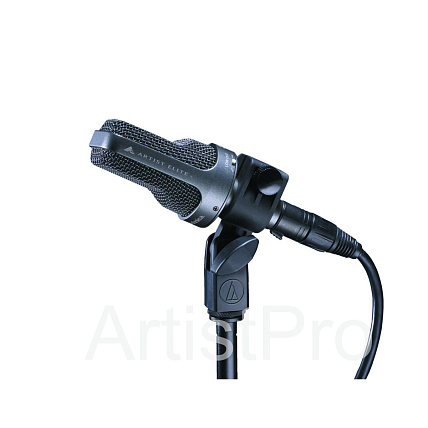 Audio-Technica AE3000