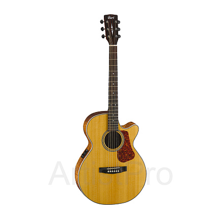 CORT L100F-NS