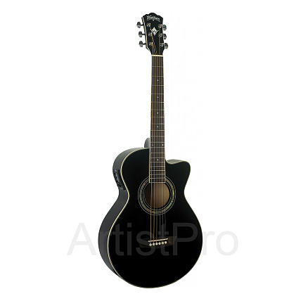 Washburn EA10B
