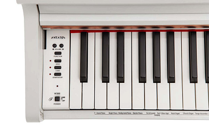 Antares W-380 WH