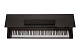 Antares W-500 BR фото 4