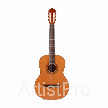 Cavafis C-20